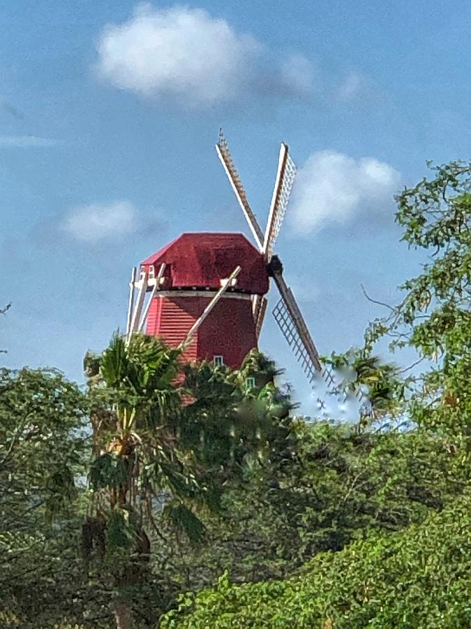 old dutch windmill