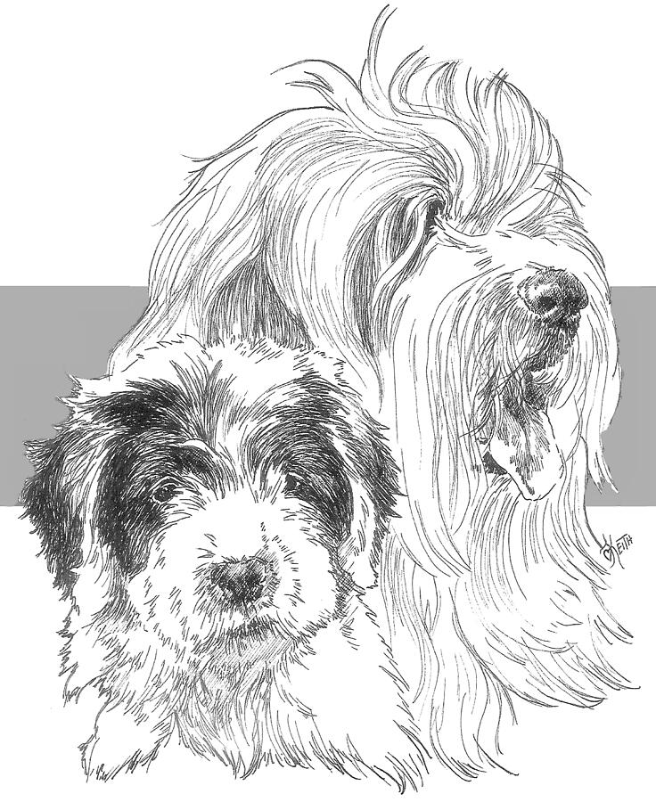 Old English Sheepdog and Pup Drawing by Barbara Keith