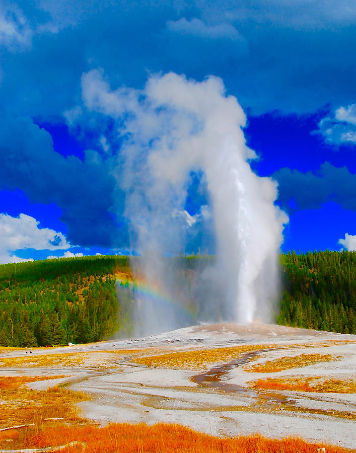 Old Faithful Photograph by Dave Byrne - Fine Art America