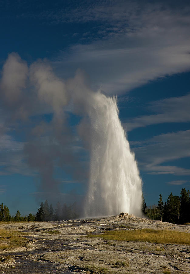 Old Faithful Erupting Summers Day Photograph by Darrell Gulin
