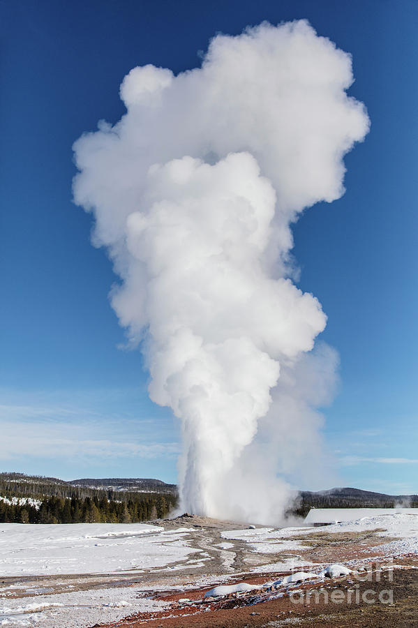Old Faithful Geyser Erupting Photograph by Jacob W. Frank/nps/us Geological Survey/science Photo Library