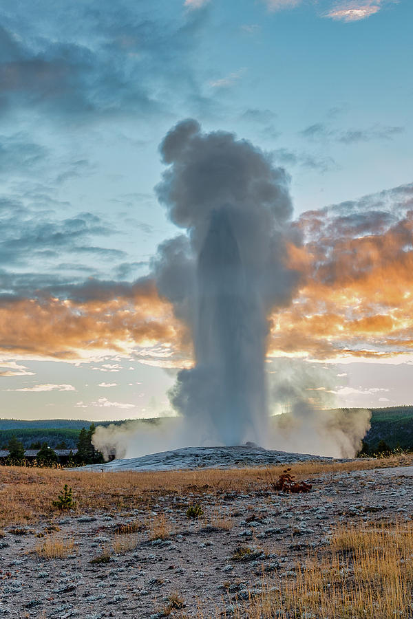 Old Faithful Geyser Eruption at Sunset Yellowstone National Park