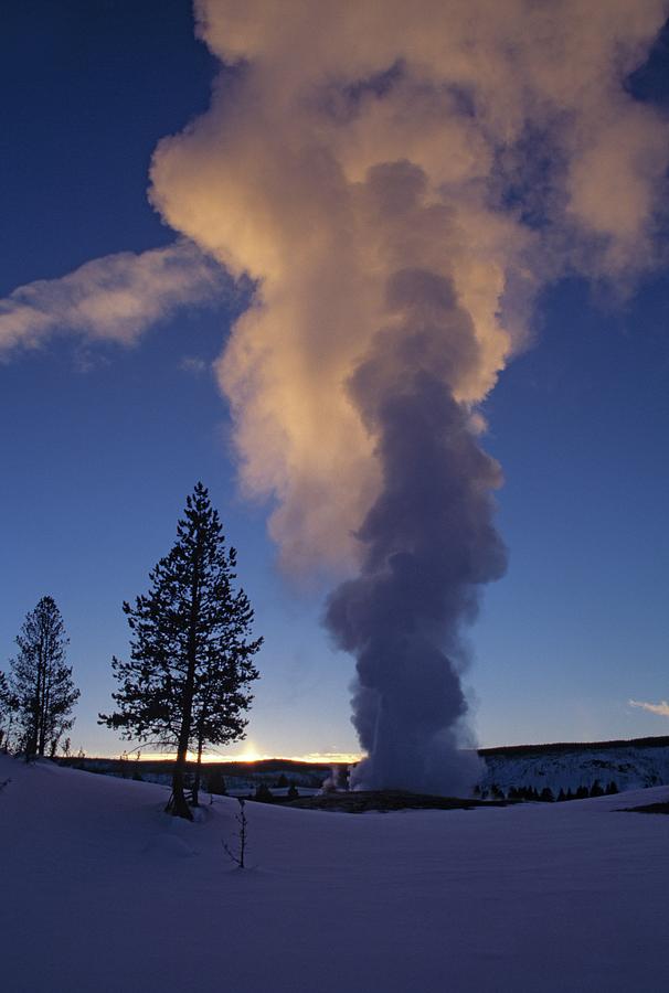 Old Faithful Geyser, Yellowstone Photograph by Design Pics/natural Selection Anita Weiner