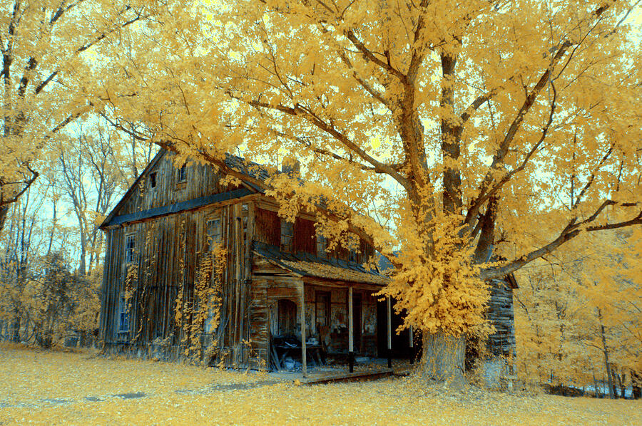 Old farm house in Infrared Photograph by Paul W Faust - Impressions of Light