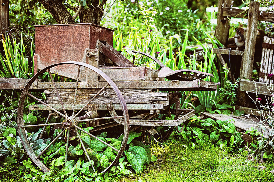Old Farming Cart Photograph by Scott Pellegrin