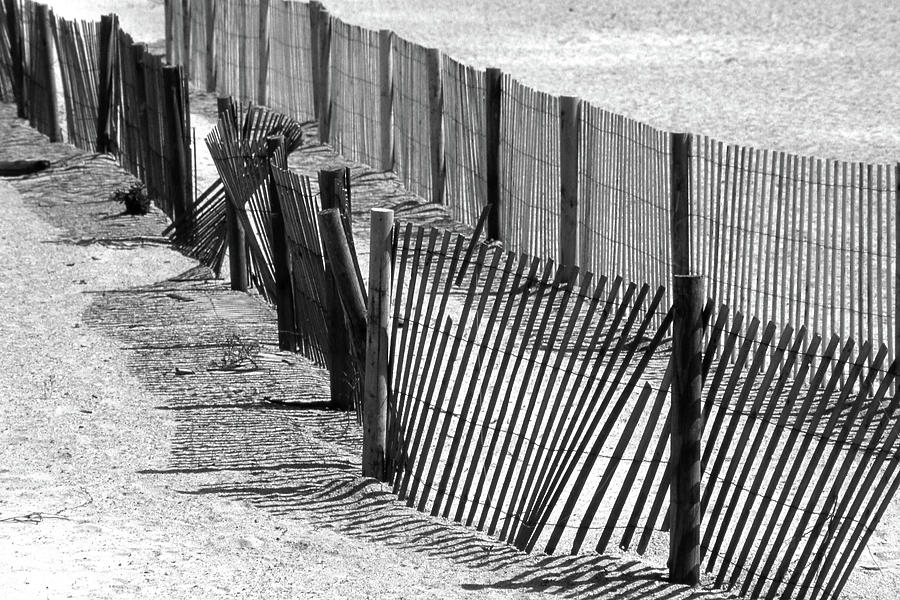 Old Fence New Fence Photograph by Jerry Griffin