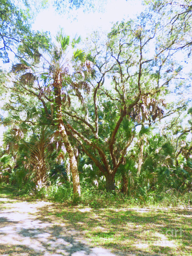 Old Florida 300 Painting