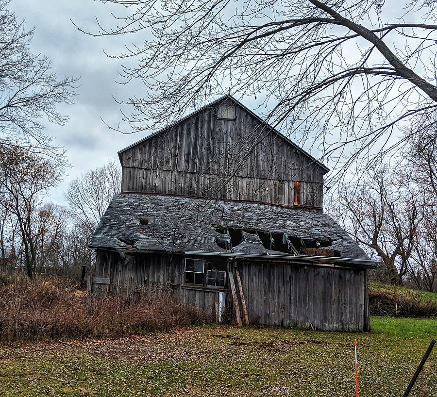 Old friend Photograph by Michael Henneman - Fine Art America