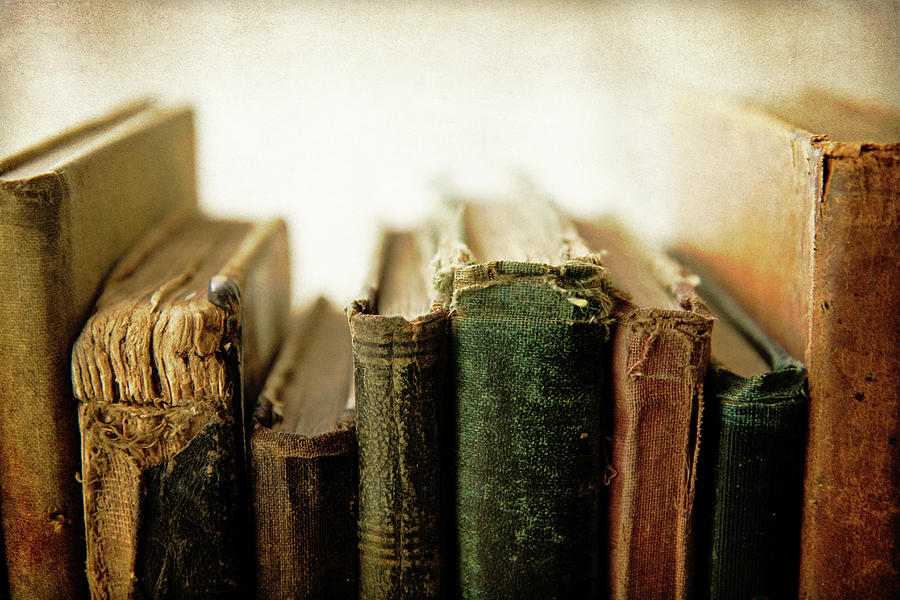 Book Photograph - Old Friends by Jessica Rogers