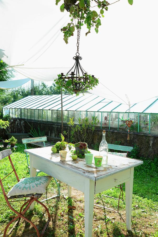 Old Garden Chairs With Cushions At Rustic Garden Table With Beakers And Vintage Lemonade Bottle Below Chandelier Wreathed In Ivy And Awning; Greenhouse In Background Photograph by Revier 51