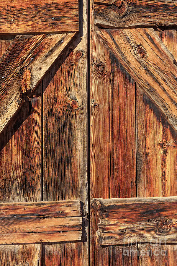 Old Ghost Town Doors Photograph by Edward Fielding