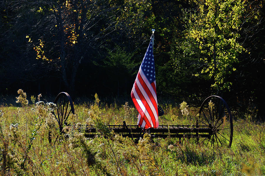 Old Glory 4 Photograph by Steven Clipperton