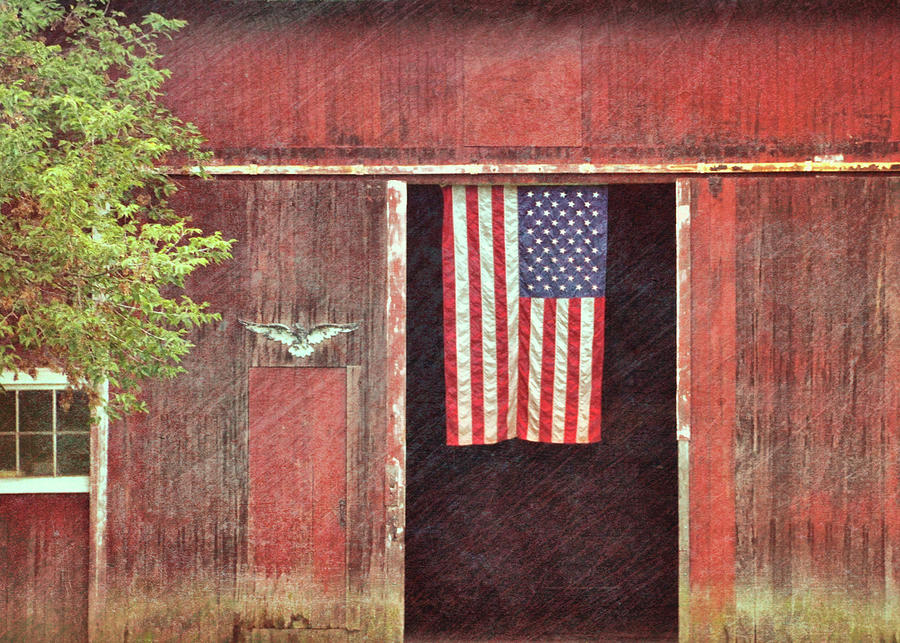 Old Glory Photograph by Dressage Design