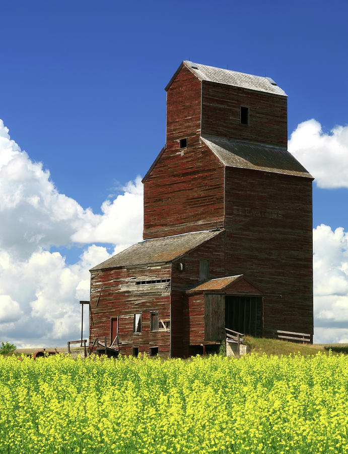Old Grain Elevator Photograph by Imaginegolf