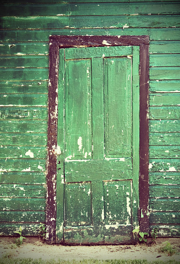 Old Green Door Photograph by Amy Weekley