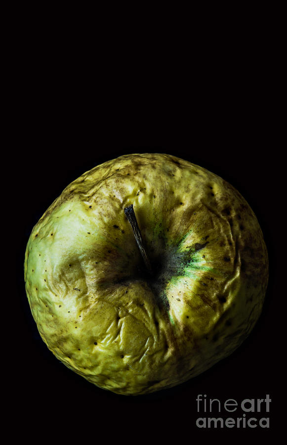 Fruit Photograph - Old Green Wrinkled Apple Close Up Macro by Pinkyone Fruit Photograph - Old Green Wrinkled Apple Close Up Macro by Pinkyone