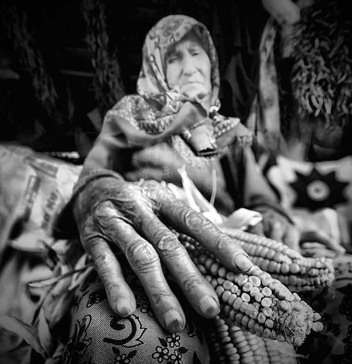 Old Hands Photograph by Emine Basa photo