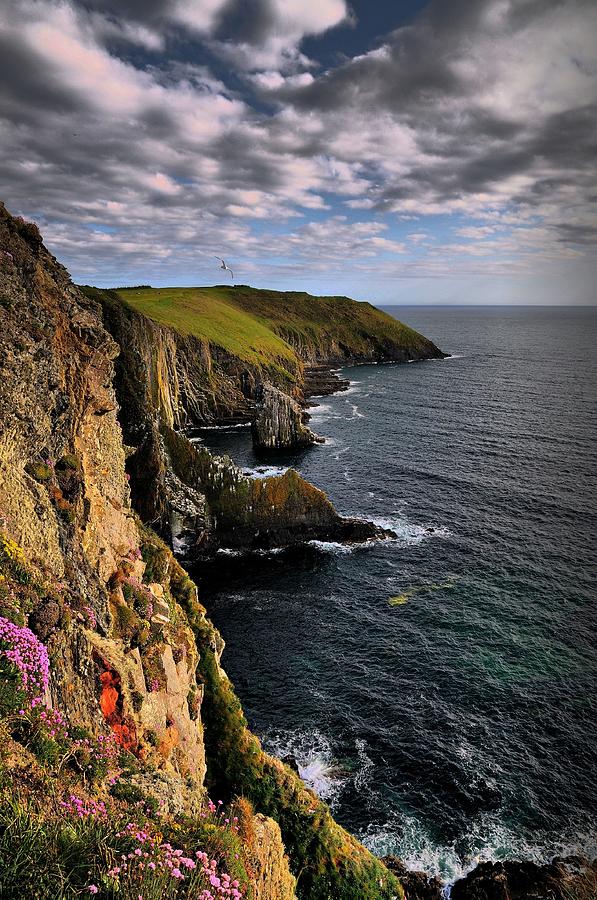 Old Head Photograph by Vytenis Malisauskas,carrigphotos