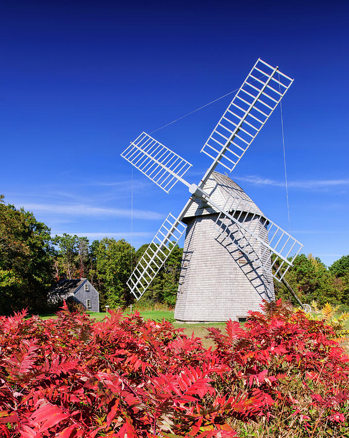 Flower Photograph - Old Higgins Farm Windmill by Michael Blanchette Photography
