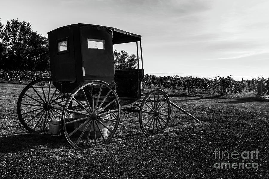 Old Horse Buggy 4 Photograph by Robert Alsop