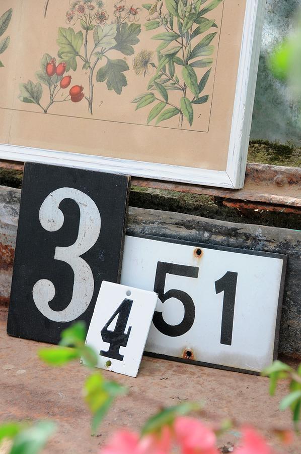 Old House Numbers Arranged Below Framed, Antique Botanical Drawing ...