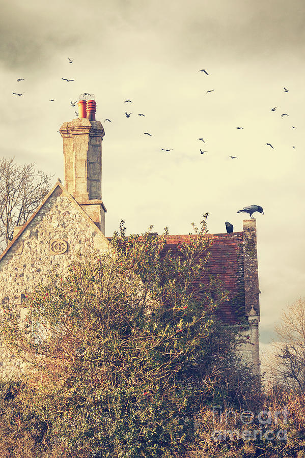 Old House With Tall Chimney And birds Photograph by Ethiriel Photography