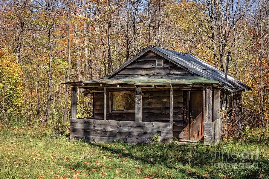 Old Hunting Shack in the Woods Photograph by Edward Fielding