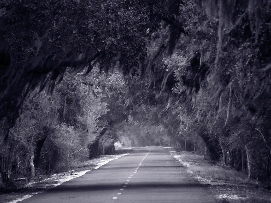 Old HWY 90 Black and White Photograph by Jerry Connally