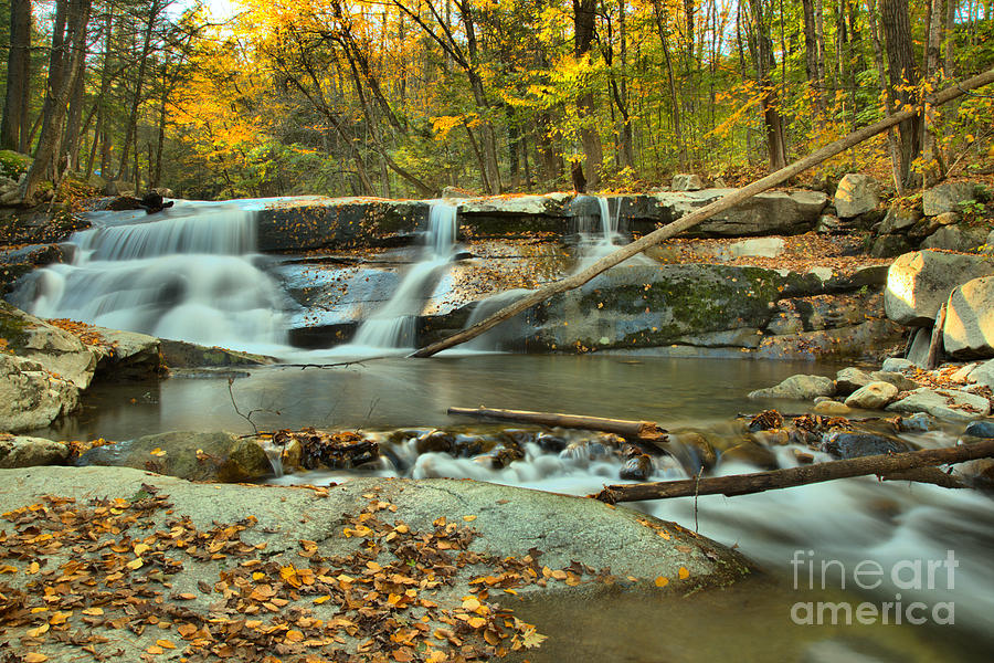 Old Jelly Mill Falls Photograph by Adam Jewell