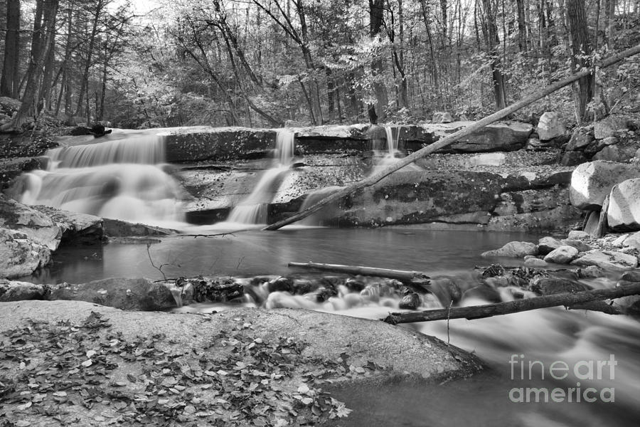 Old Jelly Mill Falls Black And White Photograph by Adam Jewell
