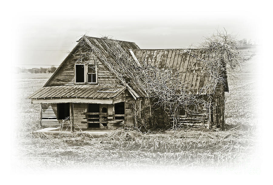Old Kentucky Home Photograph