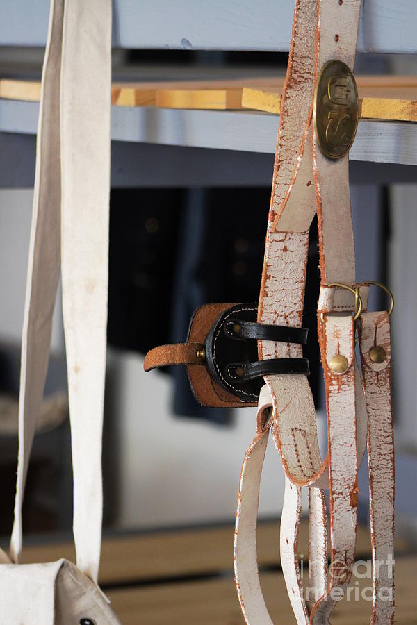 Old Leather Belt Photograph by Colleen Cornelius