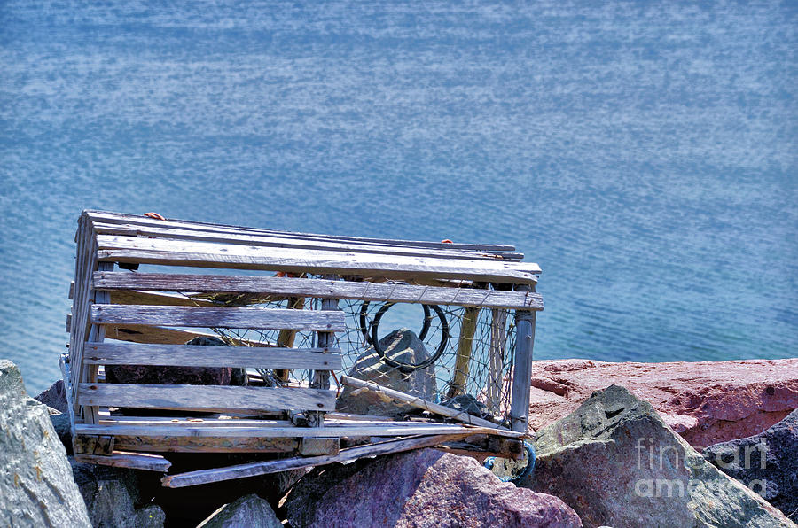 Old Lobster Trap by the Ocean Photograph by Elaine Manley