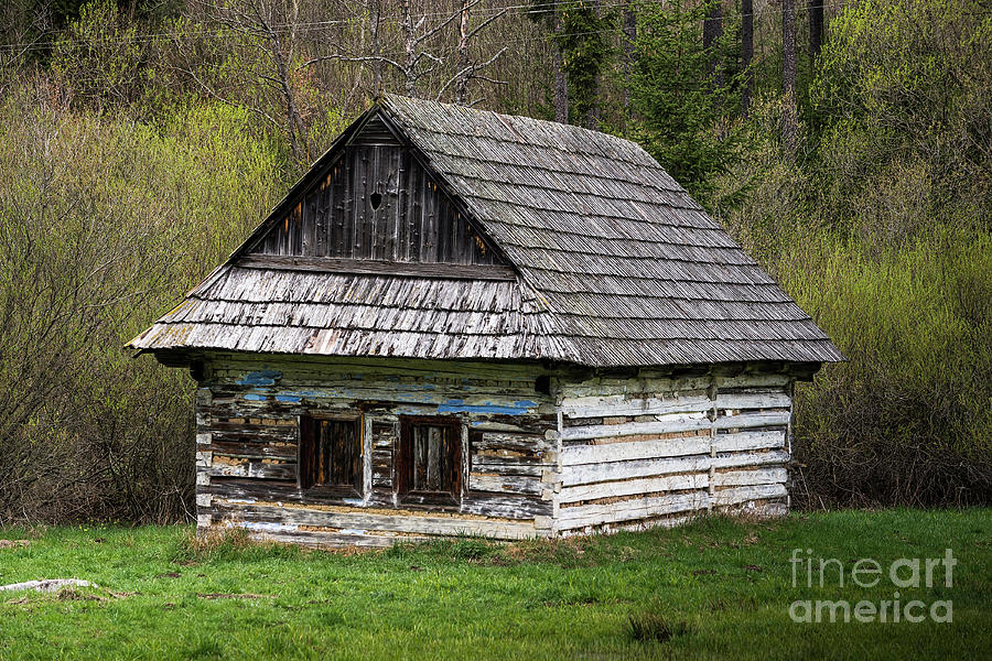 Old Log Home With Wooden Shingles Photograph by Les Palenik