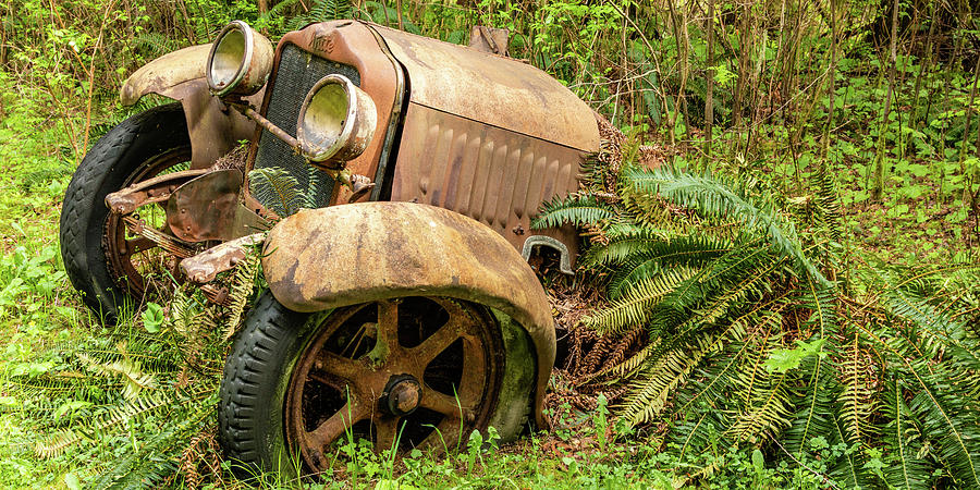 Old Logging Equipment-2 by Claude Dalley Old Logging Equipment-2 by Claude Dalley