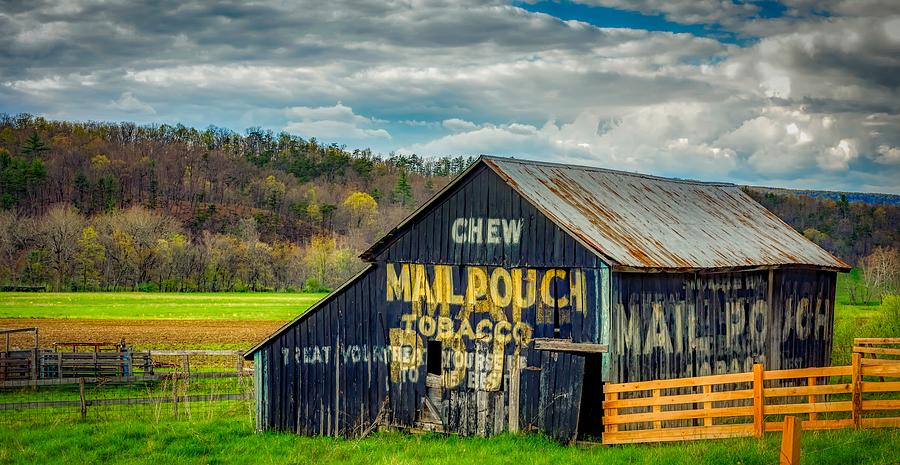 Tree Photograph - Old Mail Pouch Tobacco Barn by Mountain Dreams