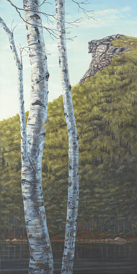Old Man of the Mountain Painting by Elaine Farmer