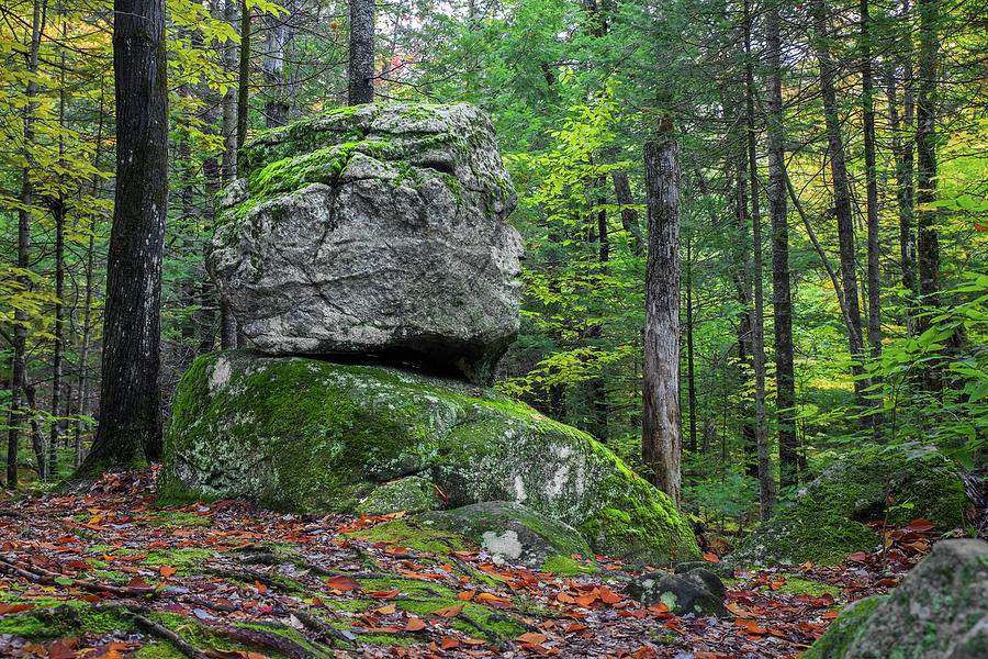 Old Man of the Valley Photograph by White Mountain Images