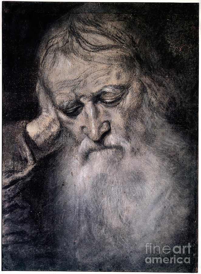 Titian Drawing - Old Mans Head Drawing By Tiziano Vecellio Called Titian by Titian