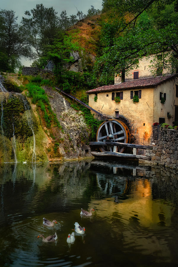Old Mill Photograph by Tommaso Pessotto