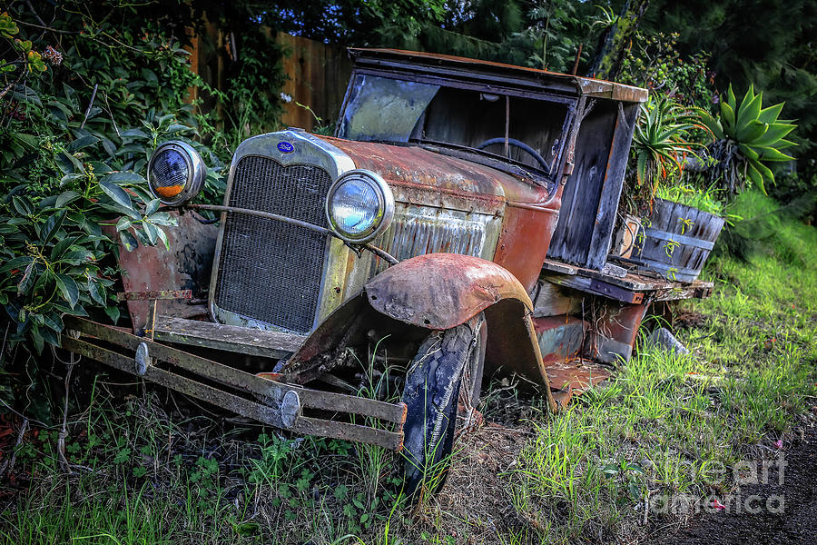 Old Model AA Ford in the Jungle 2 Photograph by Edward Fielding