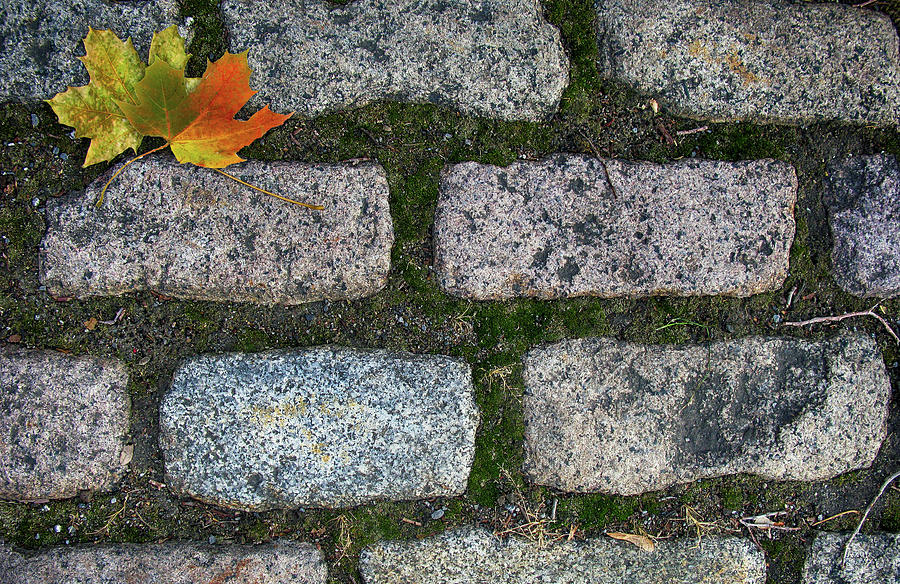 Fall Photograph - Old Montreal Cobblestones 02 by Tina Lavoie