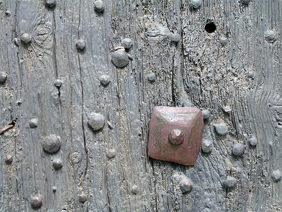 Old Nails In A Door Photograph by Olikim