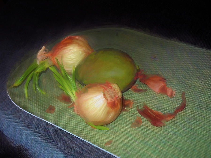 Old Onions and Peels, Stylized Mixed Media by Lynda Lehmann