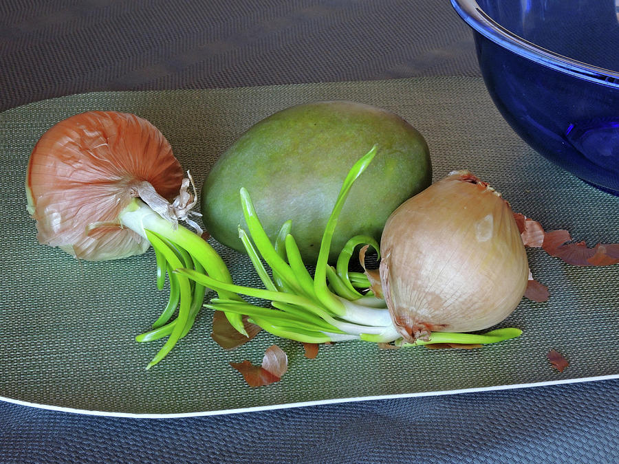 Old Onions with Mango Photograph by Lynda Lehmann