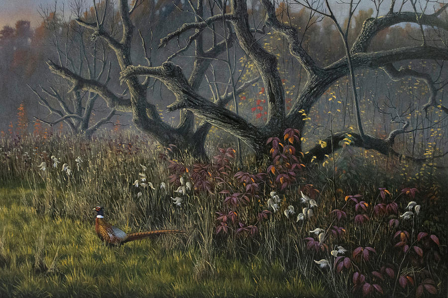 Landscape Painting - Old Orchard And Pheasant by Wilhelm Goebel