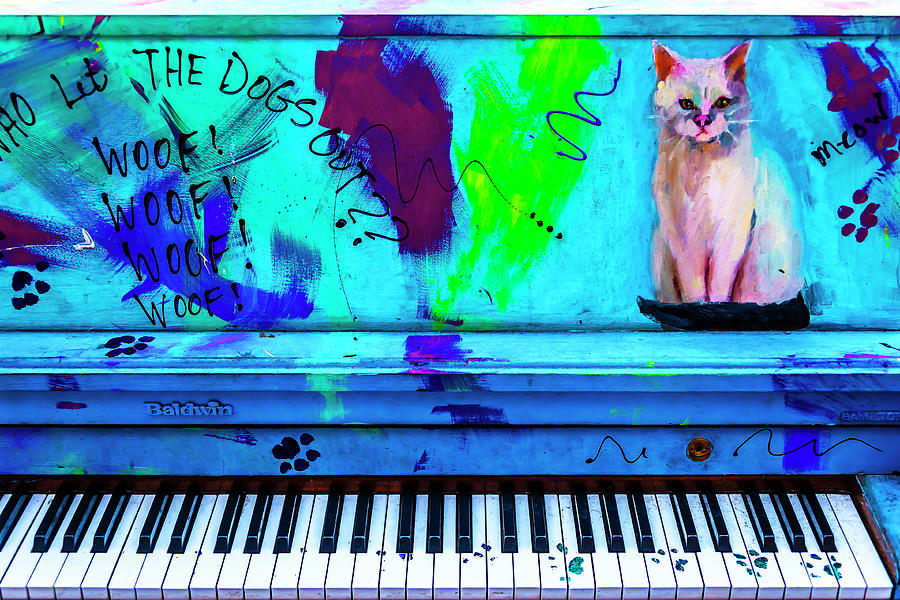 Old Painted Street piano Photograph by Garry Gay