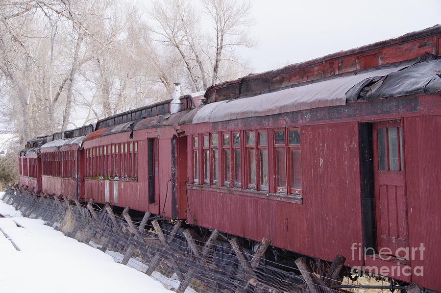 Old passenger cars Photograph by Jeff Swan