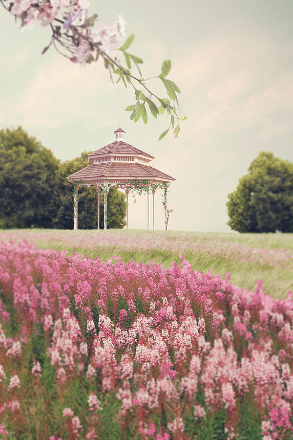 Old Pergola In Beautiful Floral Grounds Photograph by Ethiriel Photography