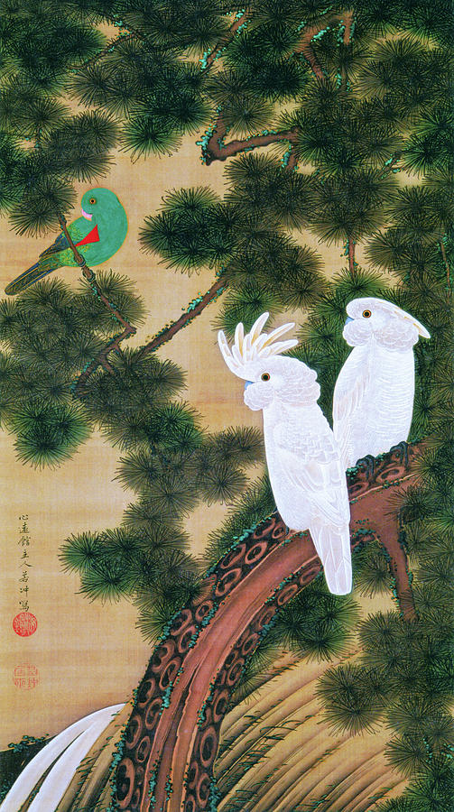 Old pine tree and Cockatoos - Digital Remastered Edition Painting by Ito Jakuchu